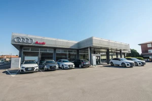 Filiale Audi Frav a Bassano del Grappa: showroom con logo Audi e auto esposte sul piazzale davanti all'ingresso